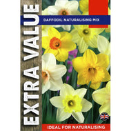 Taylors Naturalising Mixed Colour Daffodil Bulbs (20 pack)