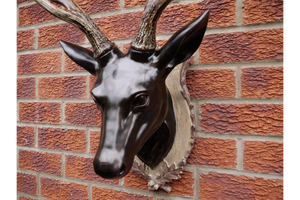 Large Stag Head