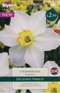 Taylors Kimmeridge Daffodil Bulbs (6 pack)