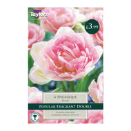 Taylors Angelique Tulip Bulbs (5 pack)
