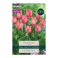 Taylors Pink Sound Tulip Bulbs (9 pack)