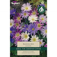 Taylors Blanda Mixed Anemone Bulbs (30 pack)