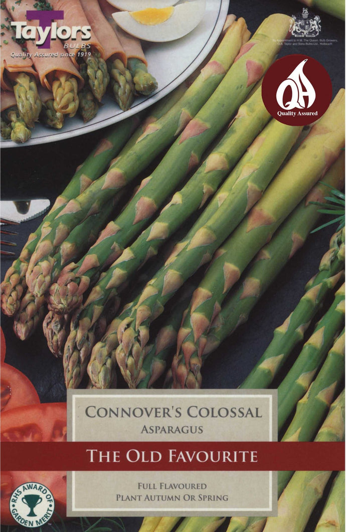 Taylors Bulbs Asparagus Connover's Colossal (2 pack)