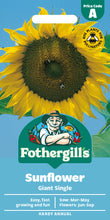 Load image into Gallery viewer, Sunflower Giant Single