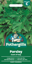 Load image into Gallery viewer, Parsley Giant of Italy