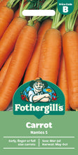 Load image into Gallery viewer, Carrot Early Nantes 5