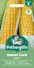 Load image into Gallery viewer, Sweetcorn Swift F1