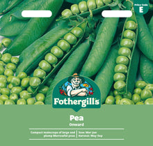 Load image into Gallery viewer, Peas, Onward (wrinkled variety) seeds