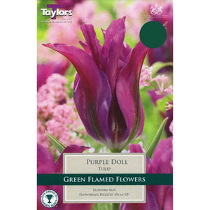Taylors Purple Doll Bulbs (9 pack)