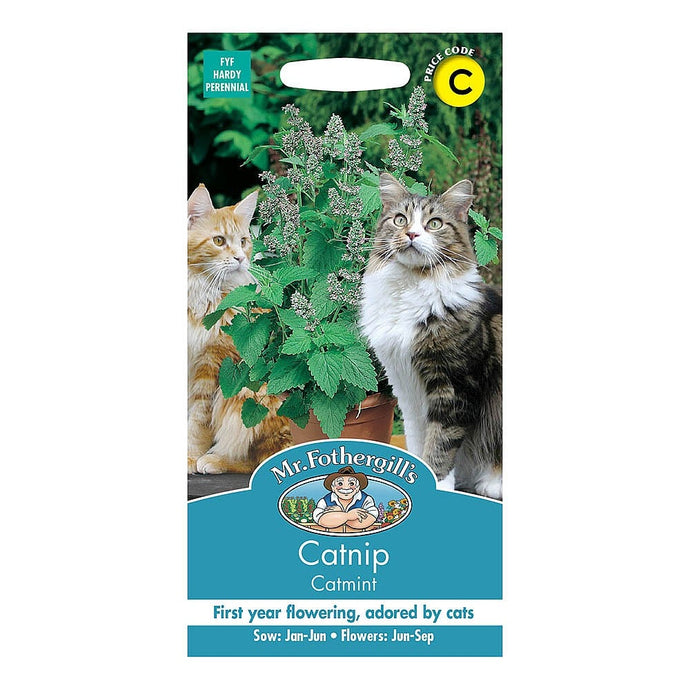 Catmint Cat Nip