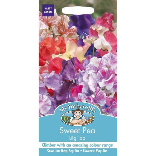 Mr Fothergills Sweet Pea Big Top 25 Seeds