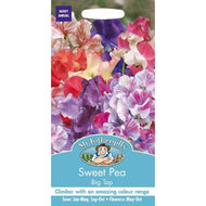 Mr Fothergills Sweet Pea Big Top 25 Seeds