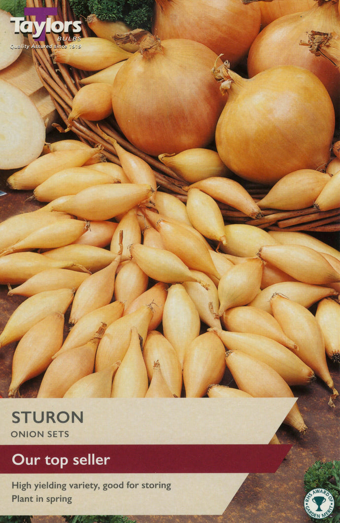 Taylors Bulbs Sturon Onion Set (50)