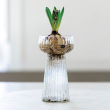 Load image into Gallery viewer, Ribbed Hyacinth Vases