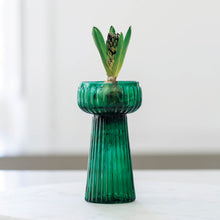 Load image into Gallery viewer, Ribbed Hyacinth Vases