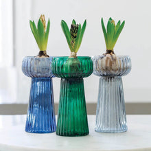 Load image into Gallery viewer, Ribbed Hyacinth Vases