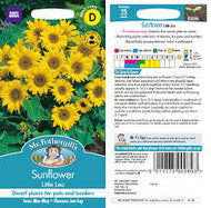 Mr Fothergills Sunflower Little Leo 25 Seeds
