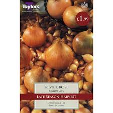 Taylors Bulbs Stur BC Onion Set (50)