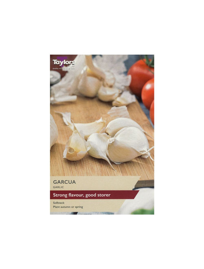 Taylors Bulbs Garcua Garlic Set