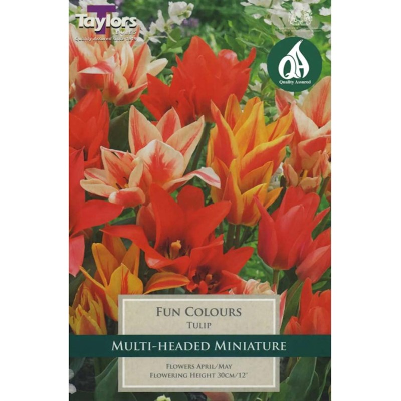 Taylors Bulbs Fun Colour Tulips - 9 pack – Acres Supply Garden Centre