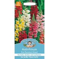 Antirrhinum Rust Resistant Mixed