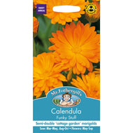 Calendula Funky Stuff