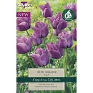 Taylors Bleu Aimable Tulip bulbs (6 pack)