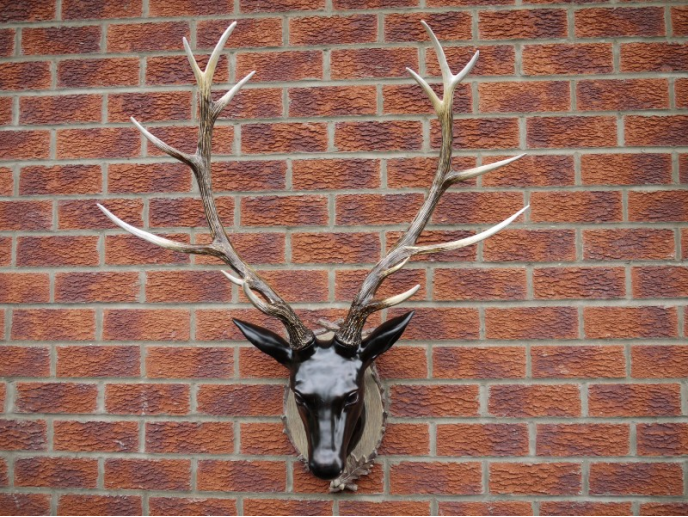 Large Stag Head