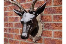 Load image into Gallery viewer, Large Stag Head