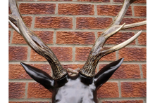 Load image into Gallery viewer, Large Stag Head
