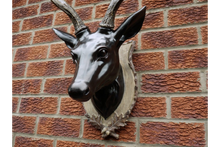 Load image into Gallery viewer, Large Stag Head