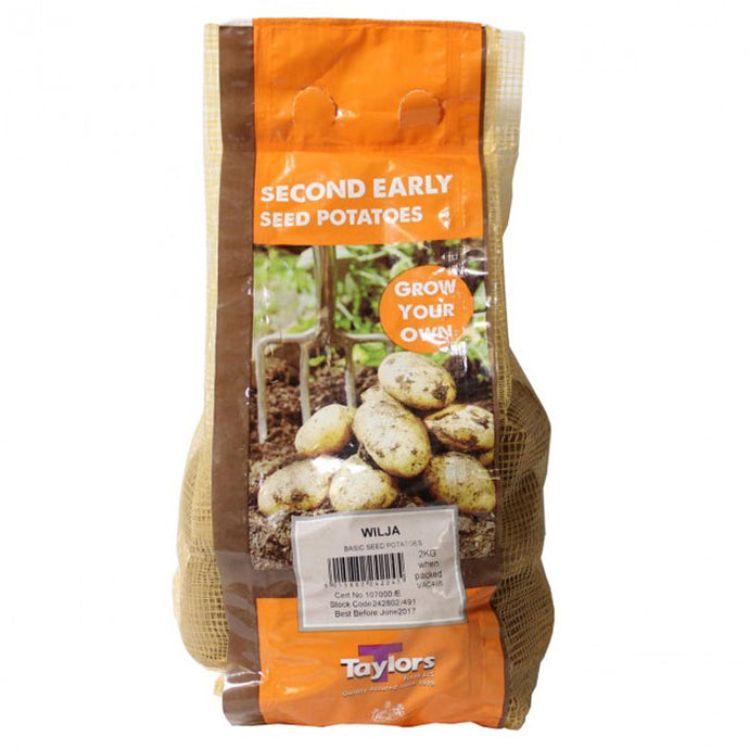 Taylors Bulbs Second Early Wilja Seed Potatoes (2kg)