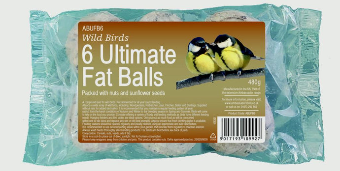 6 Ultimate Fat Balls
