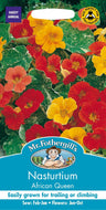 Nasturtium African Queen