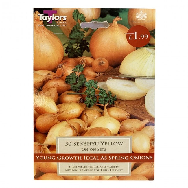 50 Senshyu Yellow Onion Sets