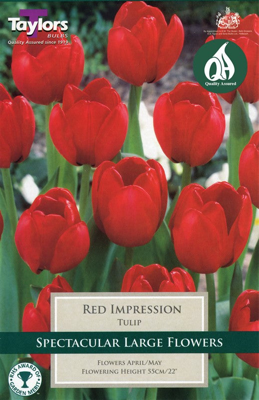 Taylors Red Impression Tulip Bulbs (8 pack)