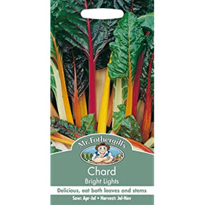 Chard Bright Lights