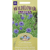 Wild Cornflower