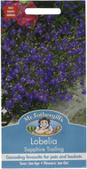 Lobelia Sapphire Trailing