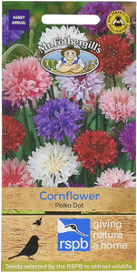 Cornflower Polka Dot