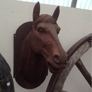 Horse head