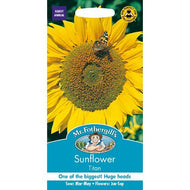 Sunflower Titan