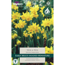 Load image into Gallery viewer, Taylors Tete A Tete Bulbs