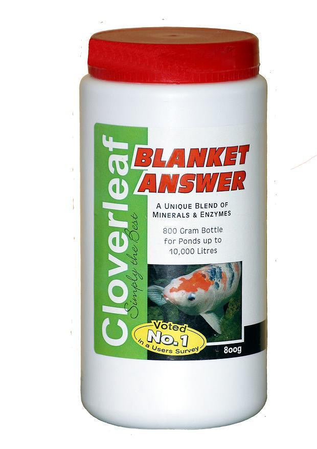 Cloverleaf Blanket Answer - blanketweed treatment