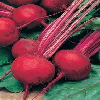 Load image into Gallery viewer, Beetroot Boltardy