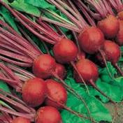 Load image into Gallery viewer, Beetroot Detroit 2
