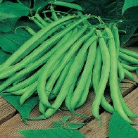 Load image into Gallery viewer, Bean, Climbing Blue Lake seeds