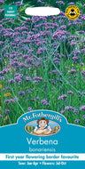 Verbena bonariensis