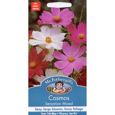 Cosmos Sensation Mixed