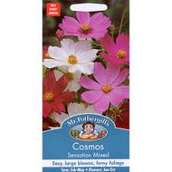 Cosmos Sensation Mixed